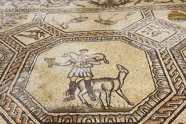 Europa  Boden  Fußboden  Fußböden  flirten  früh  Unabhängigkeitstag  Aquileia  Basilika  Jahrhundert  Christ  Friaul-Julisch-Venetien  Italien  Mosaik