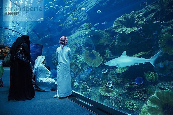 Einkaufszentrum  Vereinigte Arabische Emirate  VAE  Naher Osten  Dubai