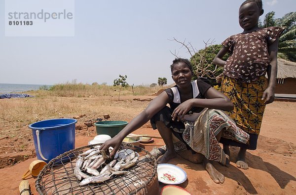 Fisch  Pisces  Vorbereitung  Gericht  Mahlzeit  jung  Mädchen  Afrika  Sambia