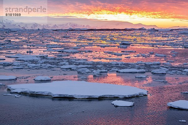 Sonnenuntergang  über  Eis  Eisberg  Antarktis