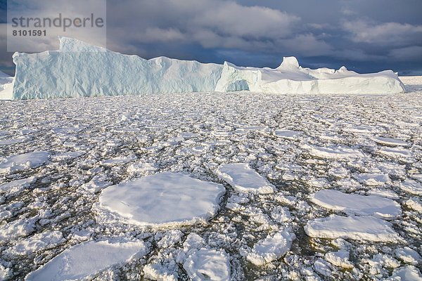 zwischen  inmitten  mitten  nahe  Eisberg  Meer  Eis  groß  großes  großer  große  großen  Insel  Seitenansicht  Antarktis  Halbinsel