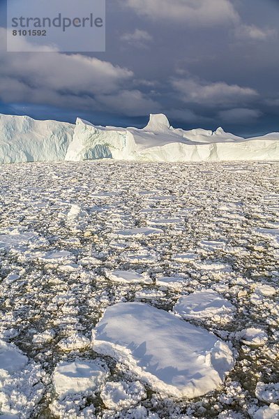 zwischen  inmitten  mitten  nahe  Eisberg  Meer  Eis  groß  großes  großer  große  großen  Insel  Seitenansicht  Antarktis  Halbinsel
