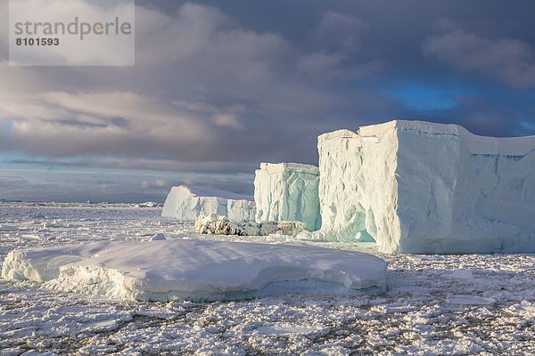 zwischen  inmitten  mitten  nahe  Eisberg  Meer  Eis  groß  großes  großer  große  großen  Insel  Seitenansicht  Antarktis  Halbinsel