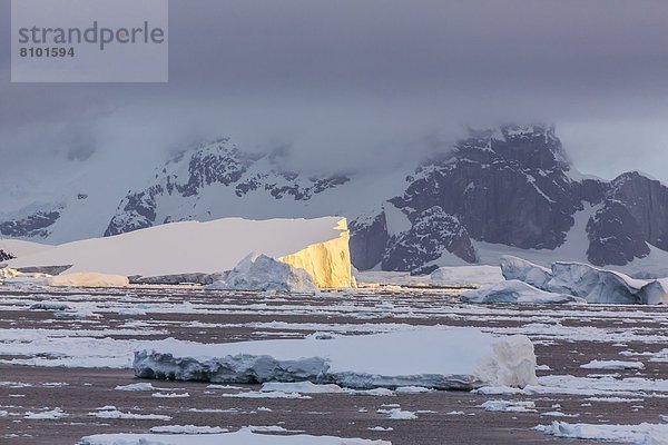 zwischen  inmitten  mitten  nahe  Eisberg  Meer  Eis  groß  großes  großer  große  großen  Insel  Seitenansicht  Antarktis  Halbinsel