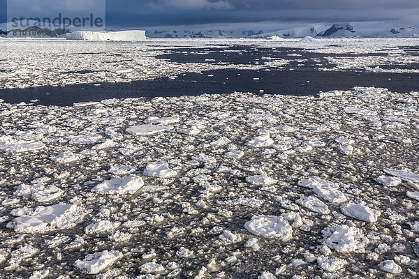 nahe  Meer  Eis  Insel  Seitenansicht  Antarktis  Halbinsel  Jahr