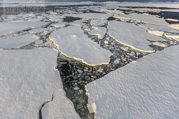 nahe  Meer  Eis  Insel  Seitenansicht  Antarktis  Halbinsel  Jahr