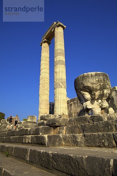 Tempel des Apollon  Didyma  Anatolien  Türkei  Kleinasien  Eurasien