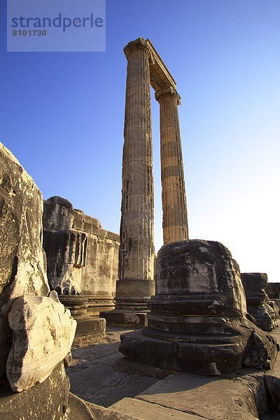 Tempel des Apollon  Didyma  Anatolien  Türkei  Kleinasien  Eurasien