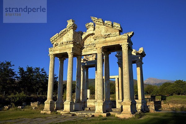 Truthuhn  Anatolien  Aphrodisias  Eurasien  Tetrapylon  Türkei