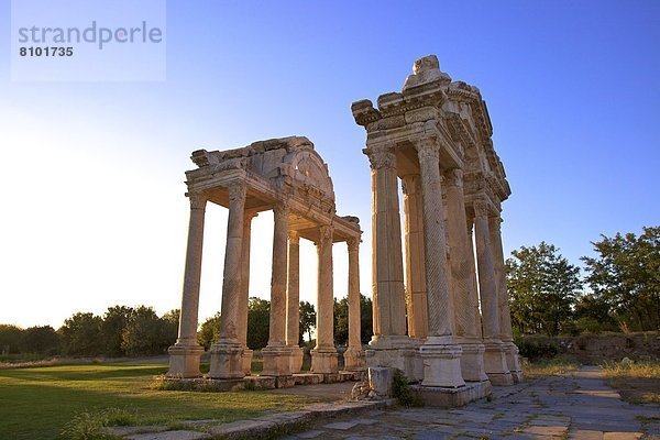 Truthuhn  Anatolien  Aphrodisias  Eurasien  Tetrapylon  Türkei