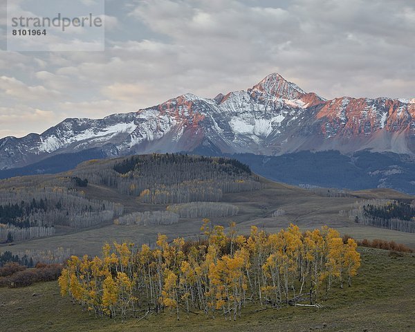 Vereinigte Staaten von Amerika  USA  Staub wischen  staubwischen  Nordamerika  Colorado  San Juan National Forest  Schnee