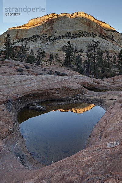 Vereinigte Staaten von Amerika  USA  Felsbrocken  Morgendämmerung  Nordamerika  Zion Nationalpark  Utah