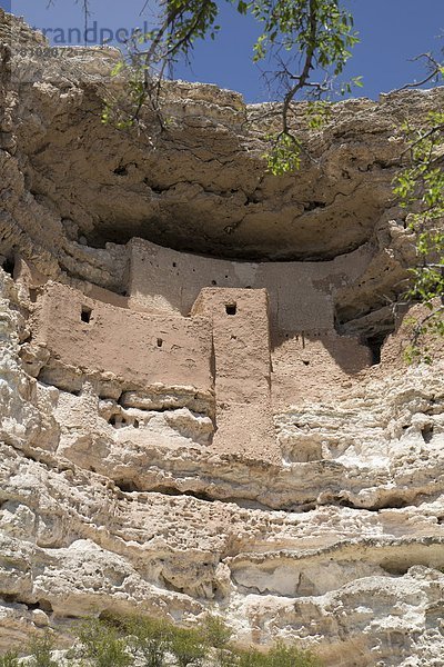 Vereinigte Staaten von Amerika  USA  Gebäude  Steilküste  früh  Nordamerika  Süden  Arizona  bauen  Landwirtin  Montezuma Castle National Monument