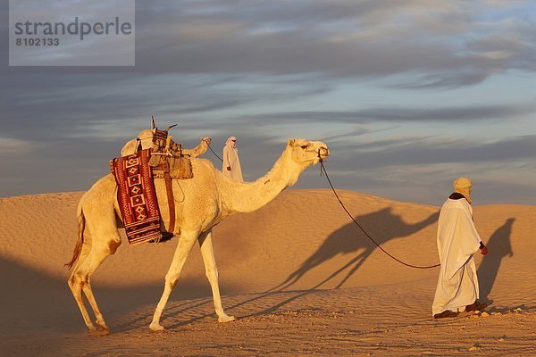 Nordafrika  Afrika  Douz  Tunesien