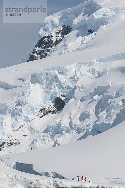 Eis  groß  großes  großer  große  großen  Regal  Insel  Antarktis