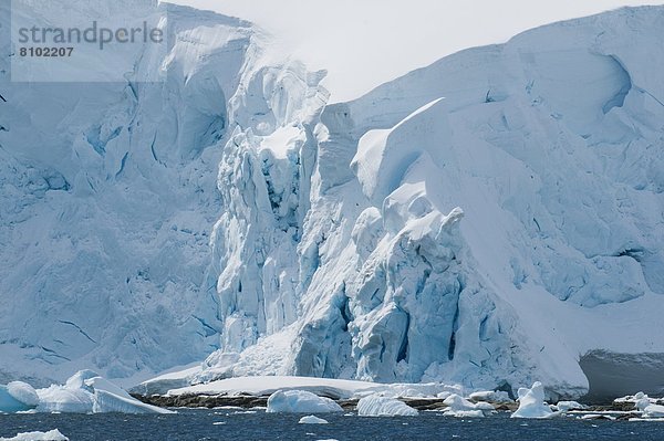 Eis  groß  großes  großer  große  großen  Regal  Insel  Antarktis