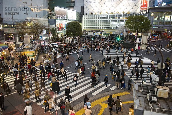 überqueren  Mensch  Menschen  Straße  Tokyo  Hauptstadt  Asien  Japan
