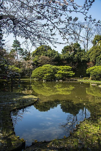 Asien  Japan  Kyoto  Schrein