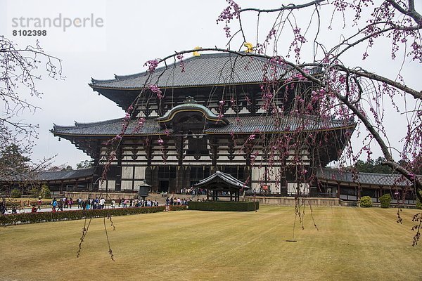 UNESCO-Welterbe  Asien  Japan  Nara