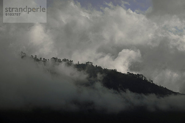 Wolkenverhangene Waldlandschaft beim Yotong La-Pass