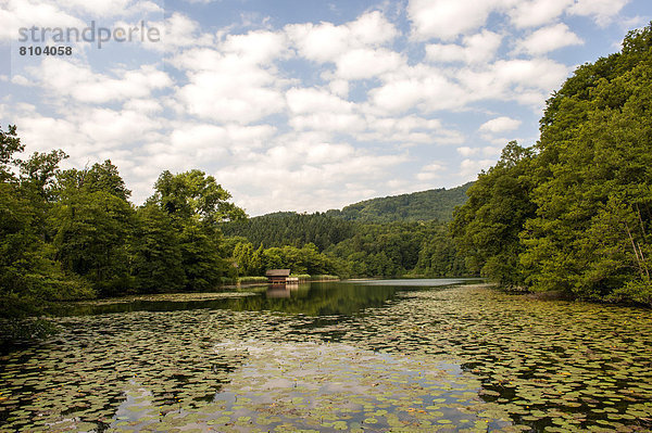 Höglwörther See