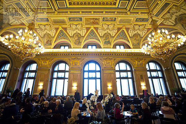 Budapest  Hauptstadt  Buchhandlung  Schönheit  Cafe  innerhalb  Ungarn
