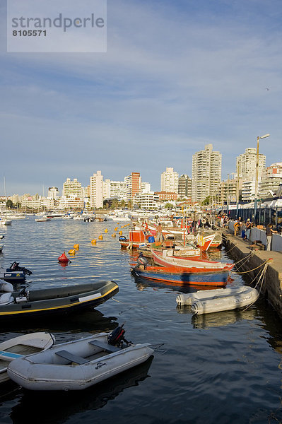 Hafen  Boot  Schiff  Südamerika  Uruguay