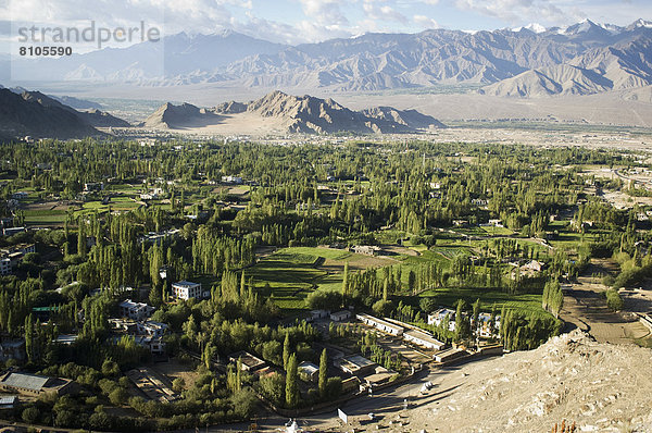 Ruhe  Tal  Ansicht  hoch  oben  3  Ortsteil  Indien  Ladakh  Leh  Stupa