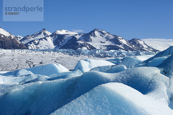 Grey-Gletscher  Gletscherzunge