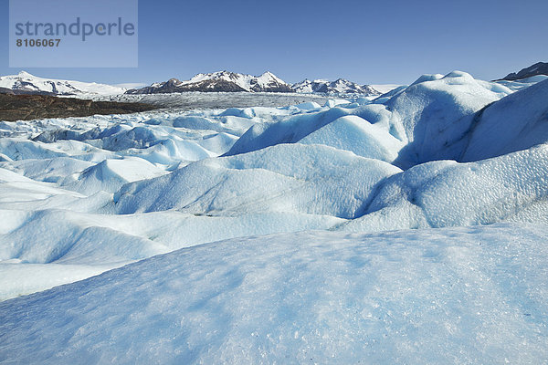 Gletscher Grey  Gletscherzunge