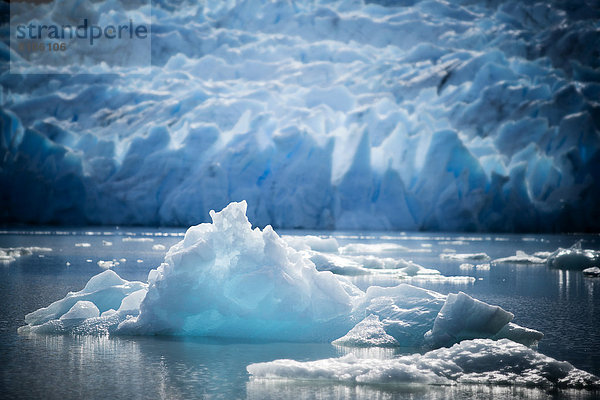 Gletscher Grey  Eisscholle  Gletschersee