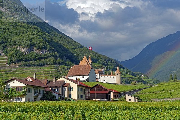 Europa Aigle Schweiz