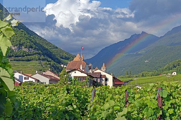 Adlerburg  Aigle  Waadt  Schweiz  Europa