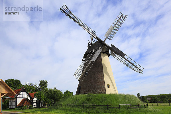 Traditionelle Windmühle in Hille  Deutschland