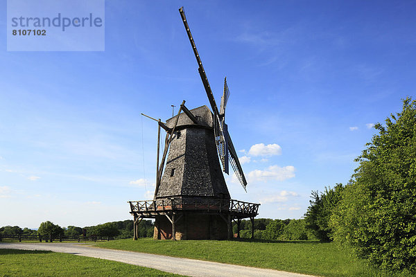 Traditionelle Windmühle im Freilichtmuseum Detmold  Deutschland