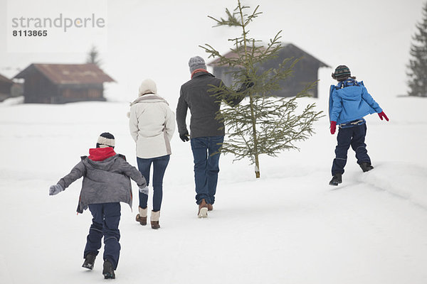 Familie mit frischem Weihnachtsbaum im Schneefeld