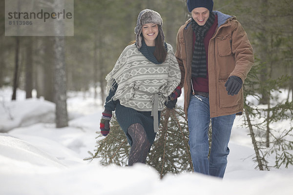 Glückliches Paar schleppt frischen Weihnachtsbaum in verschneite Wälder