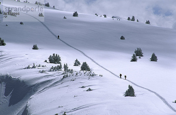 Vereinigte Staaten von Amerika  USA  Kälte  Winter  Farbaufnahme  Farbe  Skifahrer  Wolke  Ruhe  Einsamkeit  Querformat  Herausforderung  Skisport  Colorado  Fotografie  Teamgeist  Rocky Mountains  Wintersport
