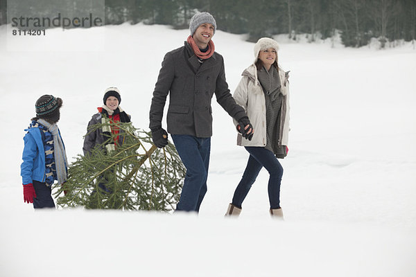 Lächelnde Familie schleppt frischen Weihnachtsbaum ins verschneite Feld