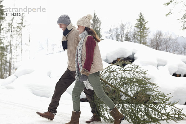Glückliches Paar zieht frischen Weihnachtsbaum in den Schnee