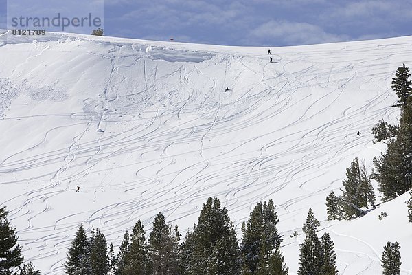 Vereinigte Staaten von Amerika  USA  Kleine Menschengruppe  Kleine Menschengruppen  blauer Himmel  wolkenloser Himmel  wolkenlos  Außenaufnahme  Wintersport  Berg  Farbaufnahme  Farbe  Snowboard  Tag  Freizeit  Baum  absteigen  Menschen im Hintergrund  Hintergrundperson  Hintergrundpersonen  weiß  Querformat  Ski  Kälte  Kalifornien  freie Natur  Hang  Schnee