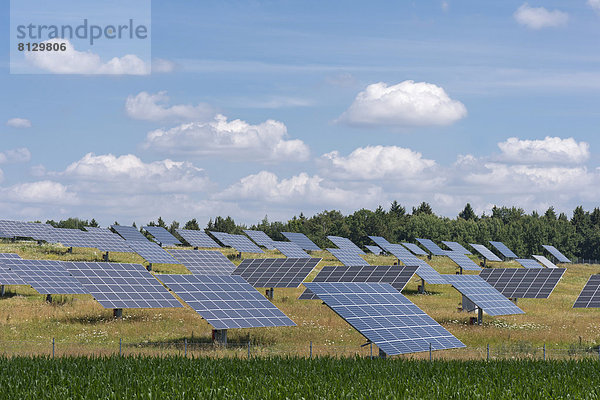 Wiese Sonnenenergie Solarkraftwerk