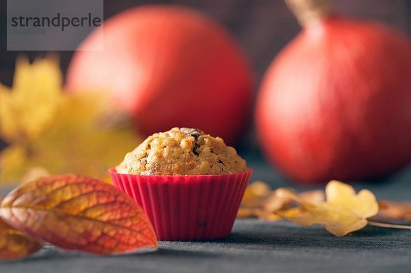 Kürbismuffin  Ottobrunn  Bayern  Deutschland  Europa