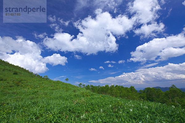 Wolke  Himmel  Wiese