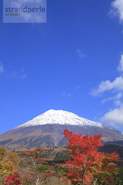 Laub Berg Fuji Shizuoka Präfektur