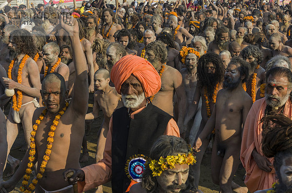 Masse von nackten Naga Sadhus  heilige Männer  nimmt an der Shahi Snan Prozession teil  königliches Bad  während des Kumbha Mela Festivals