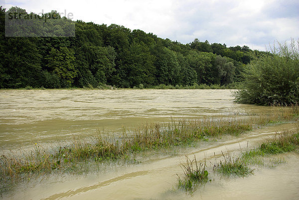 Hochwasser an der Isar  Thalkirchen  München  Bayern  Deutschland