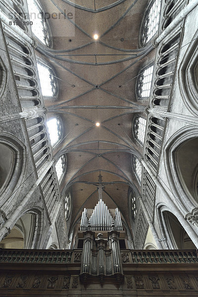 Orgel und Deckengewölbe  Netzgewölbe  Liebfrauenkirche  Onze-Lieve-Vrouwekerk