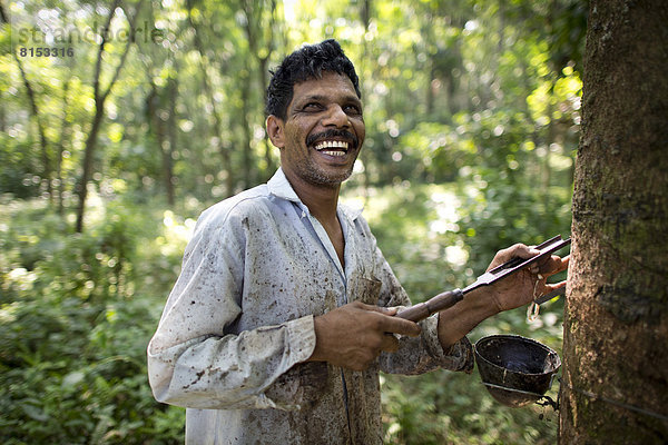 Lachender Arbeiter auf einer Naturkautschuk-Plantage an einem Kautschukbaum (Hevea brasiliensis)