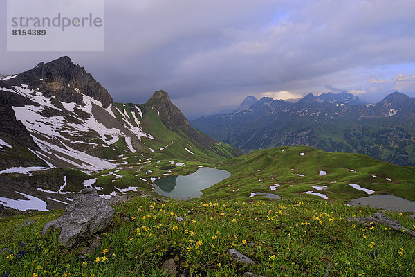 Rappensee mit Bergwiese und Bergpanorama